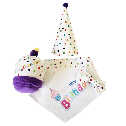 4-Piece Dog Birthday Kit: Bandana, Hat, Bow Tie, Plush Toy